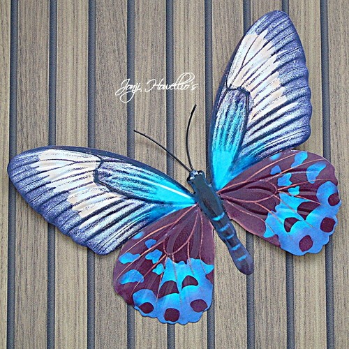 Teal butterfly wall art - butterfly, 3d